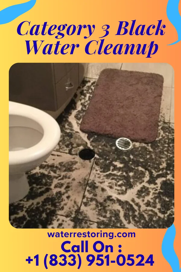 Category 3 Black Water Cleanup in Campbell, CA